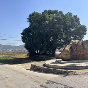 “博导”郭伟的双面人生：江西小镇高中毕业，村里不确定其是否上过大学