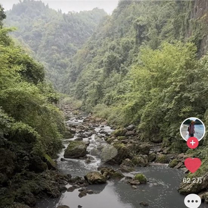 博主曝光重庆一河流污染严重，当地：正在现场处置，尚不知污染原因