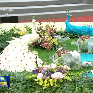 习近平会见泰国国王哇集拉隆功