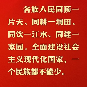 总书记的人民情怀丨“推进中国式现代化、实现共同富裕，一个民族都不能少”