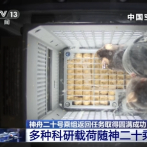 四只航天鼠完成任务回地球啦！最新进展
