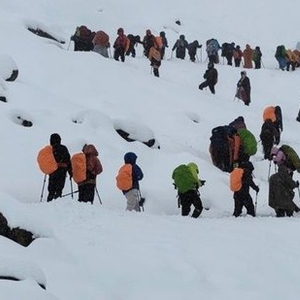 当山野成为失控的生意