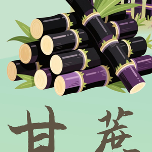 果说廉韵丨甘蔗：节节端直 心清味长