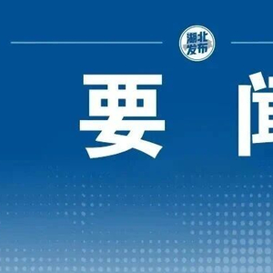 中国共产党湖北省第十二届委员会第十一次全体会议公报