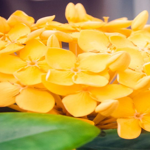 早间播报【2025年11月18日】