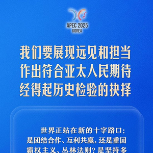 发挥亚太引领作用，习近平这样强调