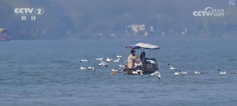 惠民新政撬动消费新增长点 透过火热数据感知城市文旅“温度”