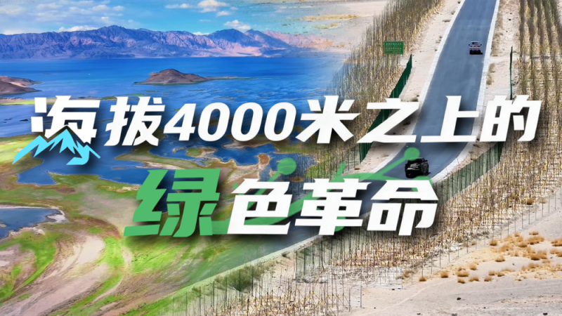“高冷”经济看发展｜绿意攀高！海拔4000米之上的绿色革命