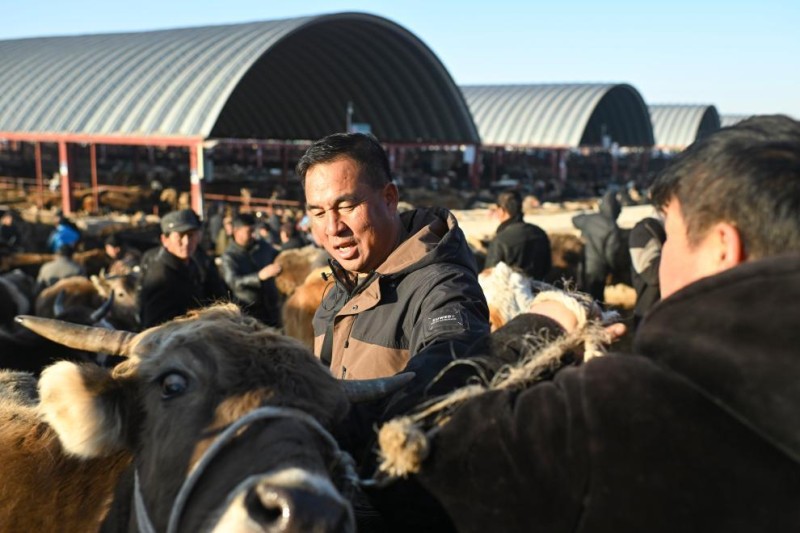 在新疆的巴扎 他们是连接牧场和市场的“纽带”