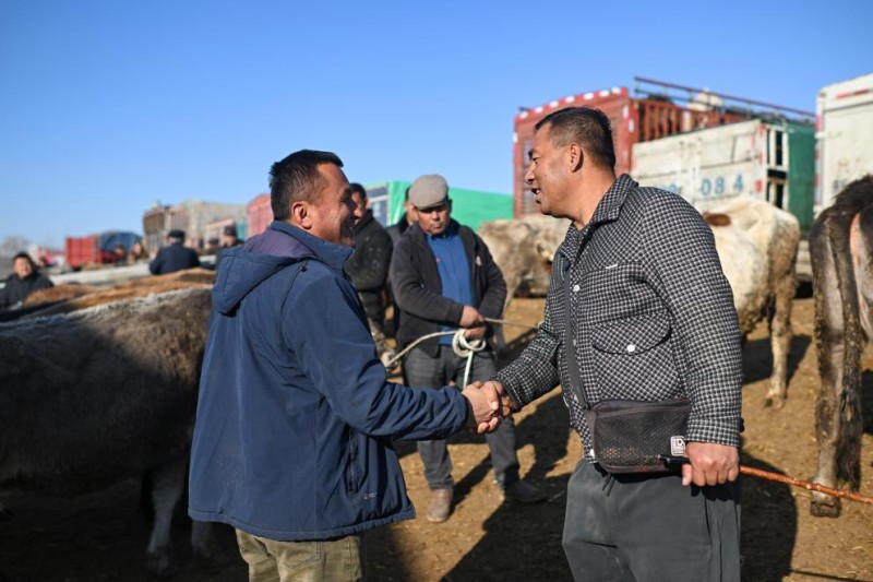 在新疆的巴扎 他们是连接牧场和市场的“纽带”