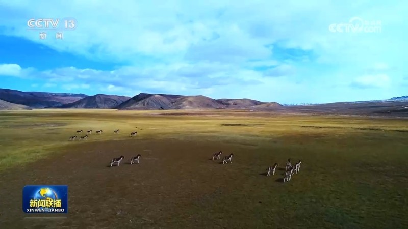 “十四五”期间我国野生植物保护取得重要进展