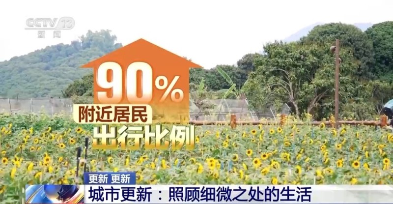 视频丨每周更新一张“地图” 重庆城市更新更精细更有温度