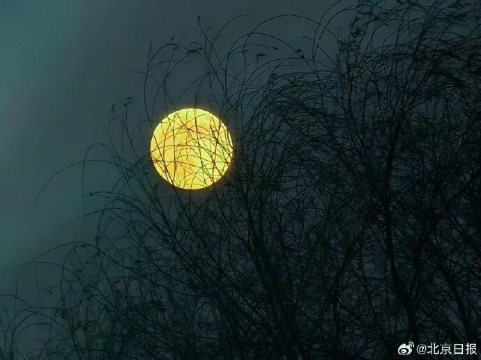 7点出发｜高市早苗，被控告！