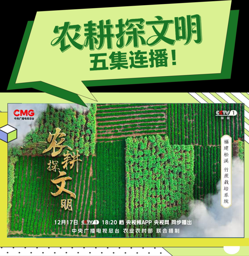 总台周看点丨“封关”，机遇加加加！