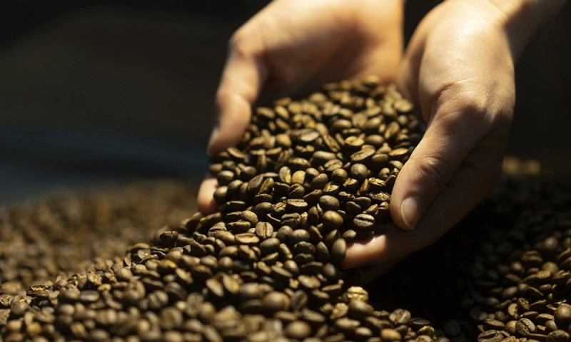 全球头号咖啡生产国为何“换豆”？