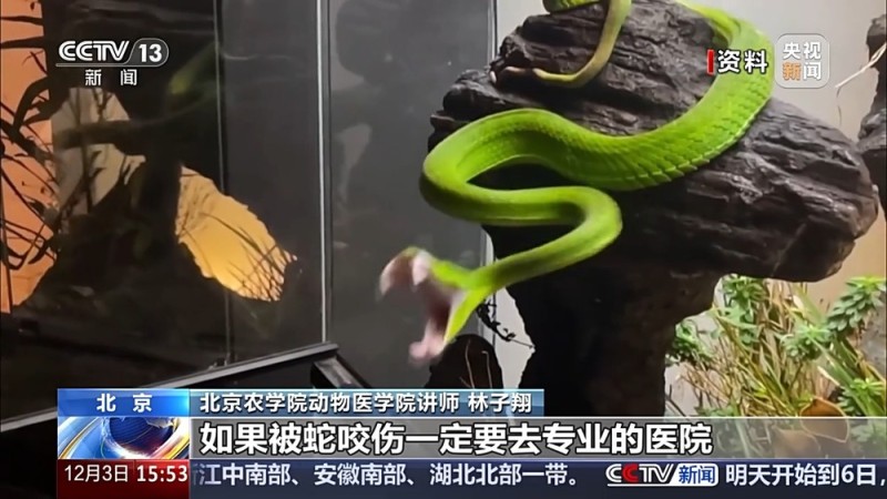 视频丨“异宠”虽潮，饲养有道！警惕生物安全风险，勿碰法律红线