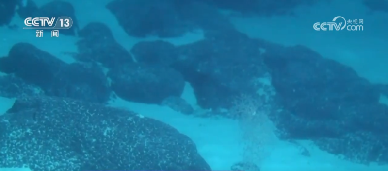 上天→破冰→深潜,逐梦星辰大海!我国科技自立自强注入“硬核”动力