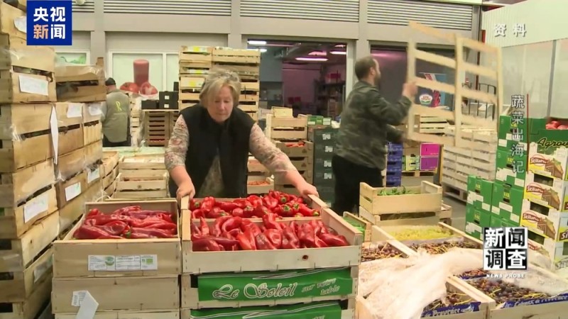 新闻调查丨从追标准到定标准 “中国蔬菜出口第一县”做对了什么？