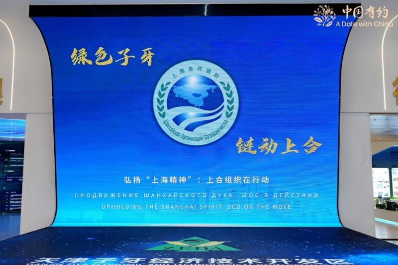 【中国有约】从工业重镇到生态样板:天津子牙上演循环经济新故事