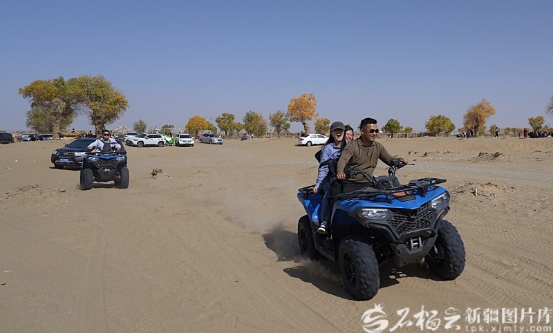 中国减贫脱贫实践・一线回访①丨达里雅布依:沙海生金的脱贫答卷