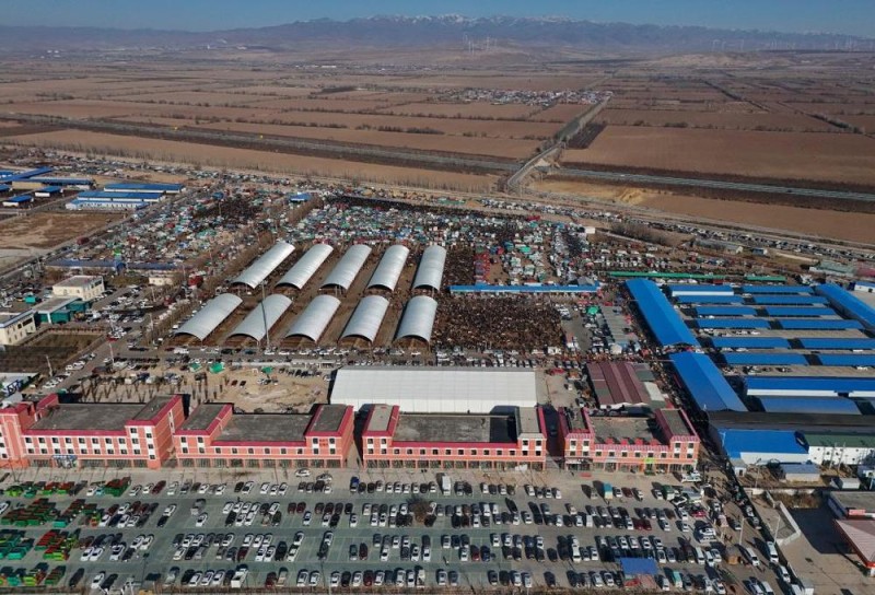 在新疆的巴扎 他们是连接牧场和市场的“纽带”