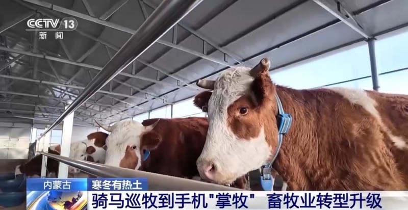 一只羊能有超170种产品!看草原美味如何撬动消费大市场