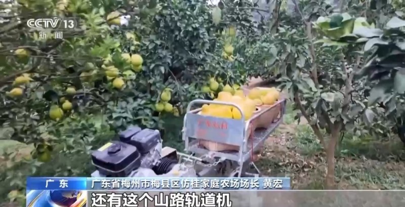 从“会种地”到“慧种地” 看十亿亩农田“版本升级”