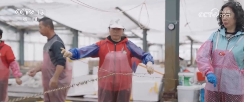 科技赋能海洋经济向“新”而行 “海上牧场”产出“大经济”助农增产增收