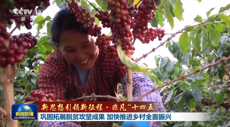 【新思想引领新征程・非凡“十四五”】巩固拓展脱贫攻坚成果 加快推进乡村全面振兴