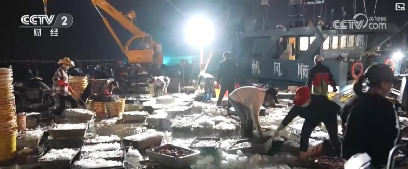 电商销售额3.5亿、出口增长10.2%:水产产业链升级激活乡村经济