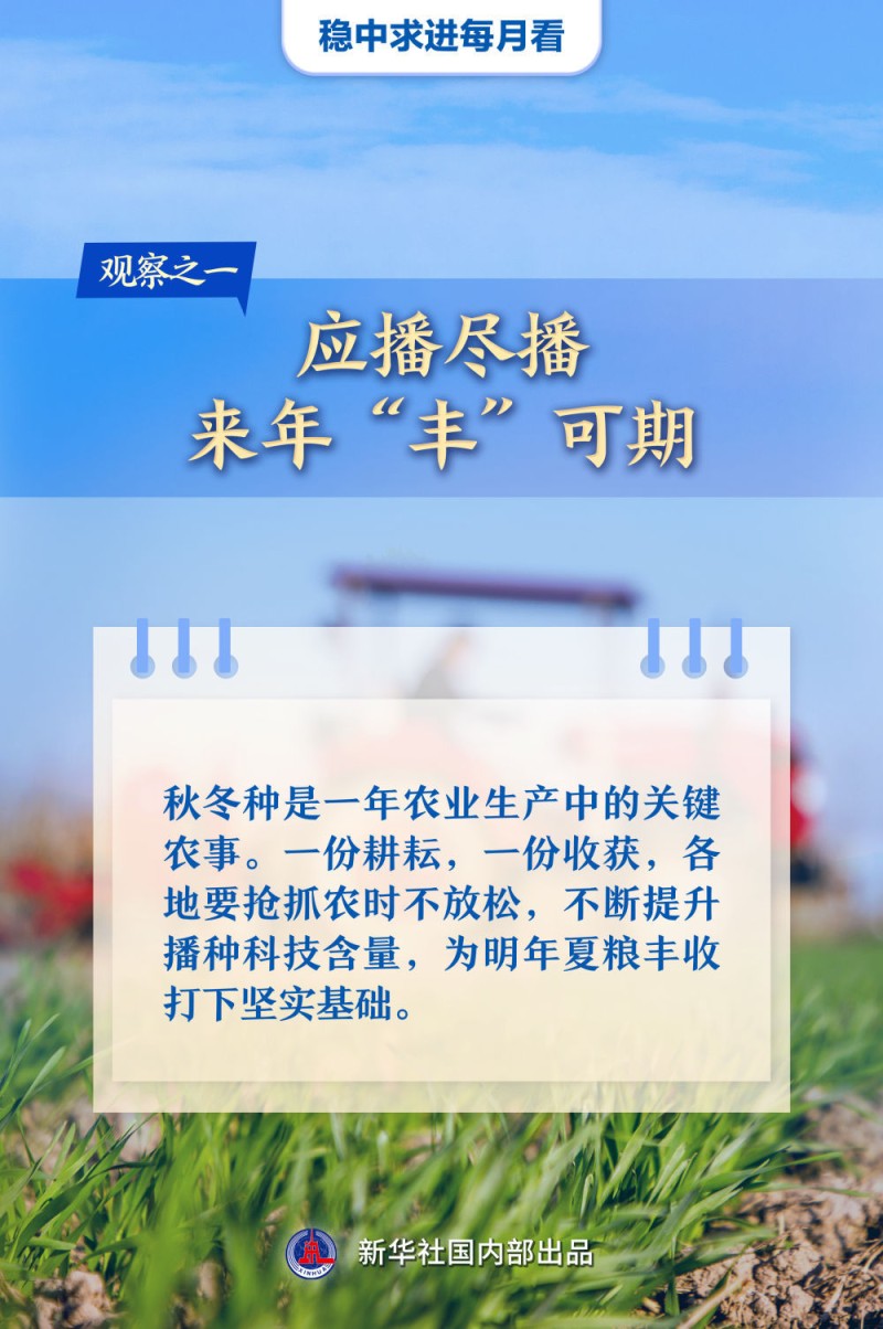 稳中求进每月看|绘就笃行致远新图景――11月全国各地经济社会发展观察