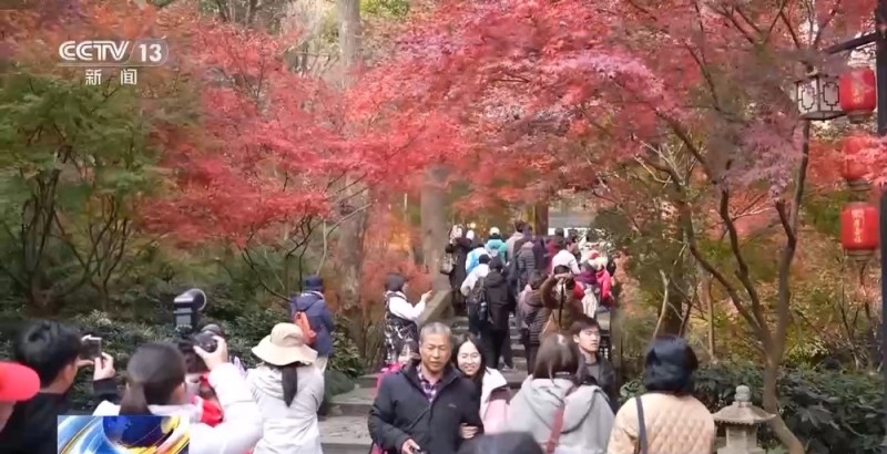 视频丨共赴“红枫之约” 杭州飞来峰景区免票迎客流高峰