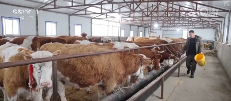 多地气温“滑梯式”下跌 多部门协同细化服务全力保障百姓生产生活