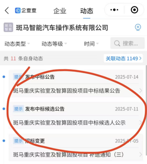 谁偷走了斑马智行的梦想？