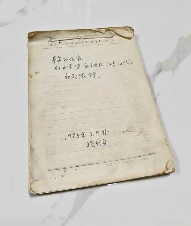 理响中国・烽火丹心丨白洋淀上斩日寇!抗战传奇雁翎队