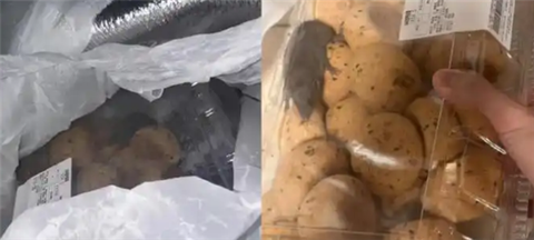 蓝战非回应遭绑架:被剥光衣服拍裸照、收集生物信息,不是自导自演;H200芯片获准出口中国,美国抽成25%;曝小米高层多人职务调整