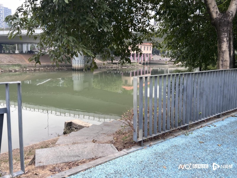 对话跳水救人者张元友:后怕但下次还会同样选择