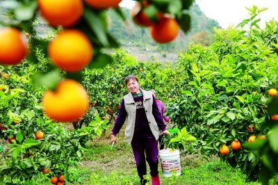 锚定目标,打好年底“收官仗”