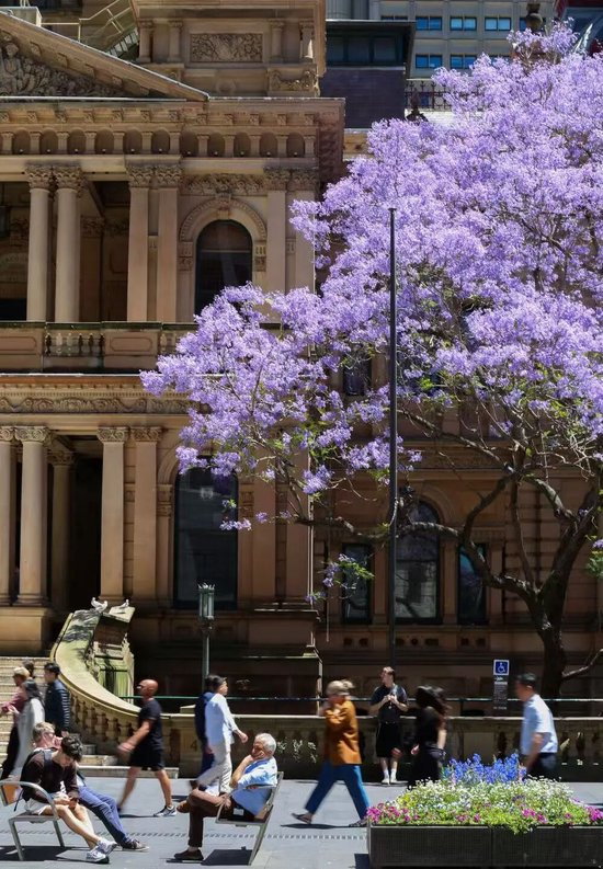 澳大利亚未成年人社媒禁令背后