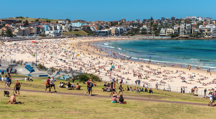 悉尼枪案已致12死29伤！男子勇夺一歹徒枪支，“很多人活下来全靠他”，一嫌疑人身份披露