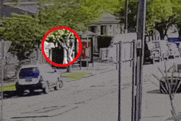 澳媒起底邦迪滩枪击案嫌犯父子：两人曾前往菲律宾待了一个月，警方正调查此行动机