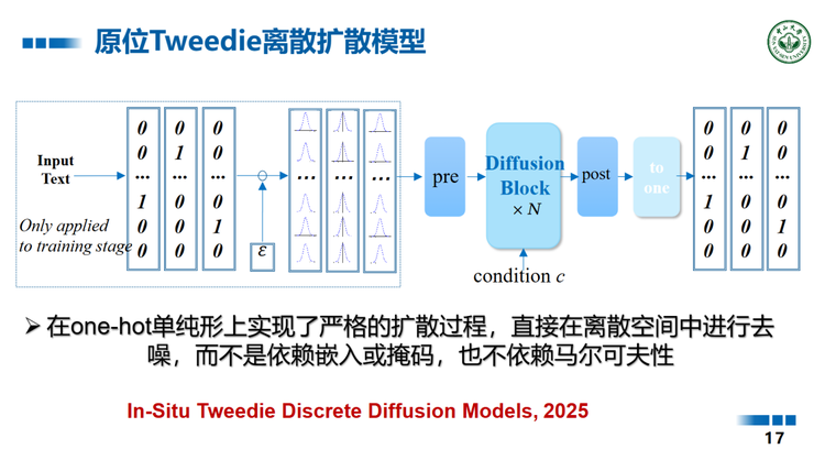中山大学王广润：大模型的微调只是对空间建模的微调 | GAIR 2025