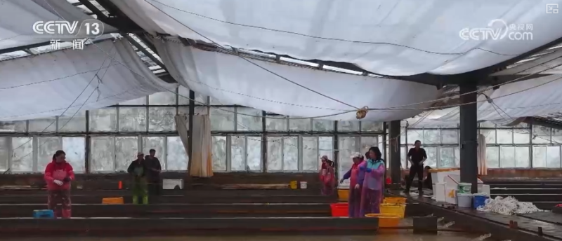 科技赋能海洋经济向“新”而行 “海上牧场”产出“大经济”助农增产增收