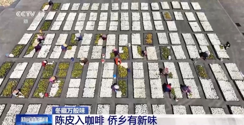 一粒豆一颗柑 中国味道饮品里藏着“绿色致富密码”