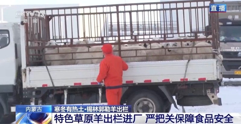 一只羊能有超170种产品!看草原美味如何撬动消费大市场