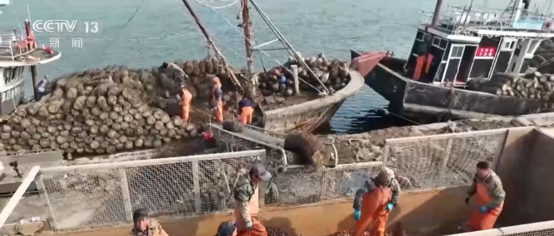 科技赋能海洋经济向“新”而行 “海上牧场”产出“大经济”助农增产增收