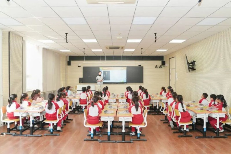 “美林美育大课堂”走进校园|松塔猫头鹰“变身记”