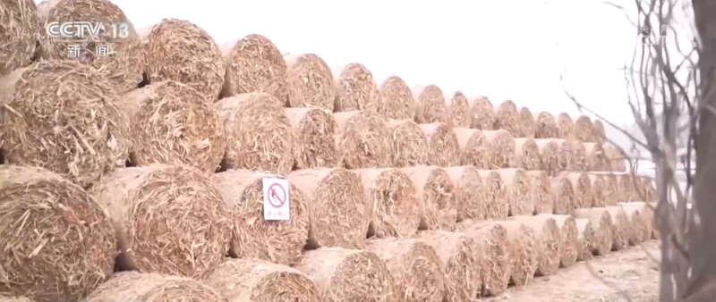 从“赶大集”到“打卡草垛迷宫” 一起感受冬日乡村生活“烟火气”