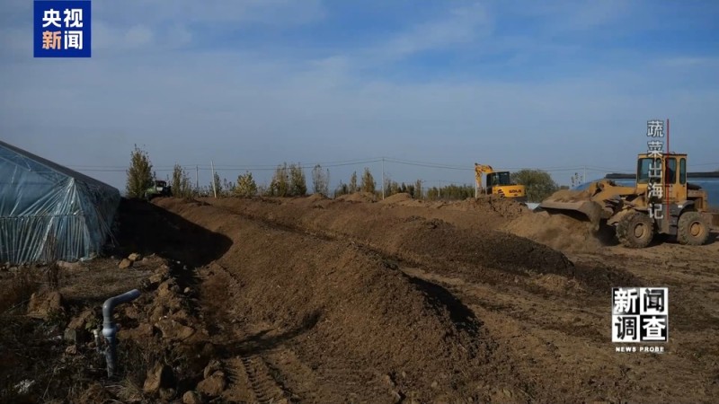 新闻调查丨从追标准到定标准 “中国蔬菜出口第一县”做对了什么？