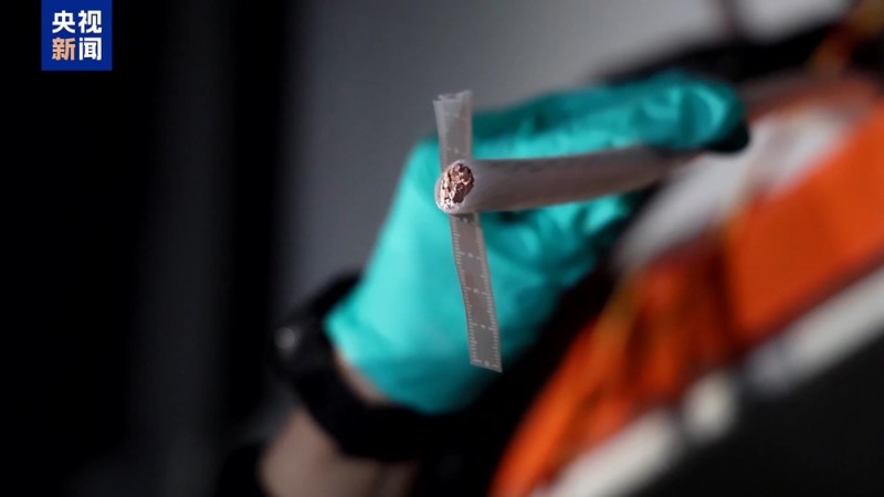 视频丨电缆大盗上演“黑吃黑” 作案20余次终落网